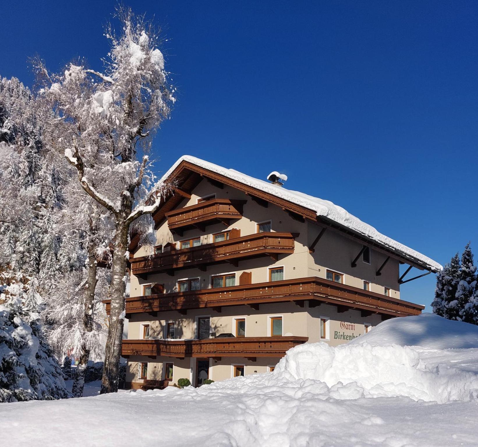 Hotel Garni Birkenhof Майрхофен Экстерьер фото